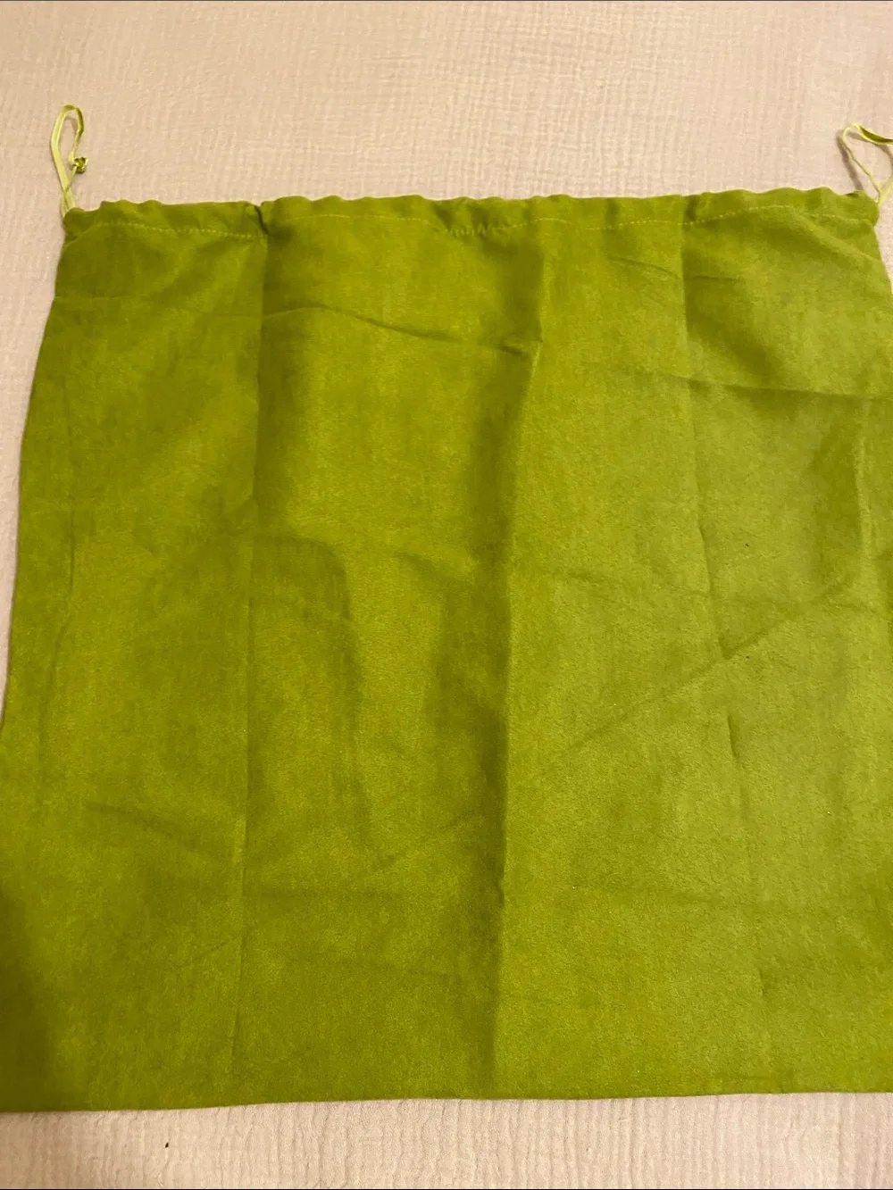 TORY BURCH GREEN DUST BAG .